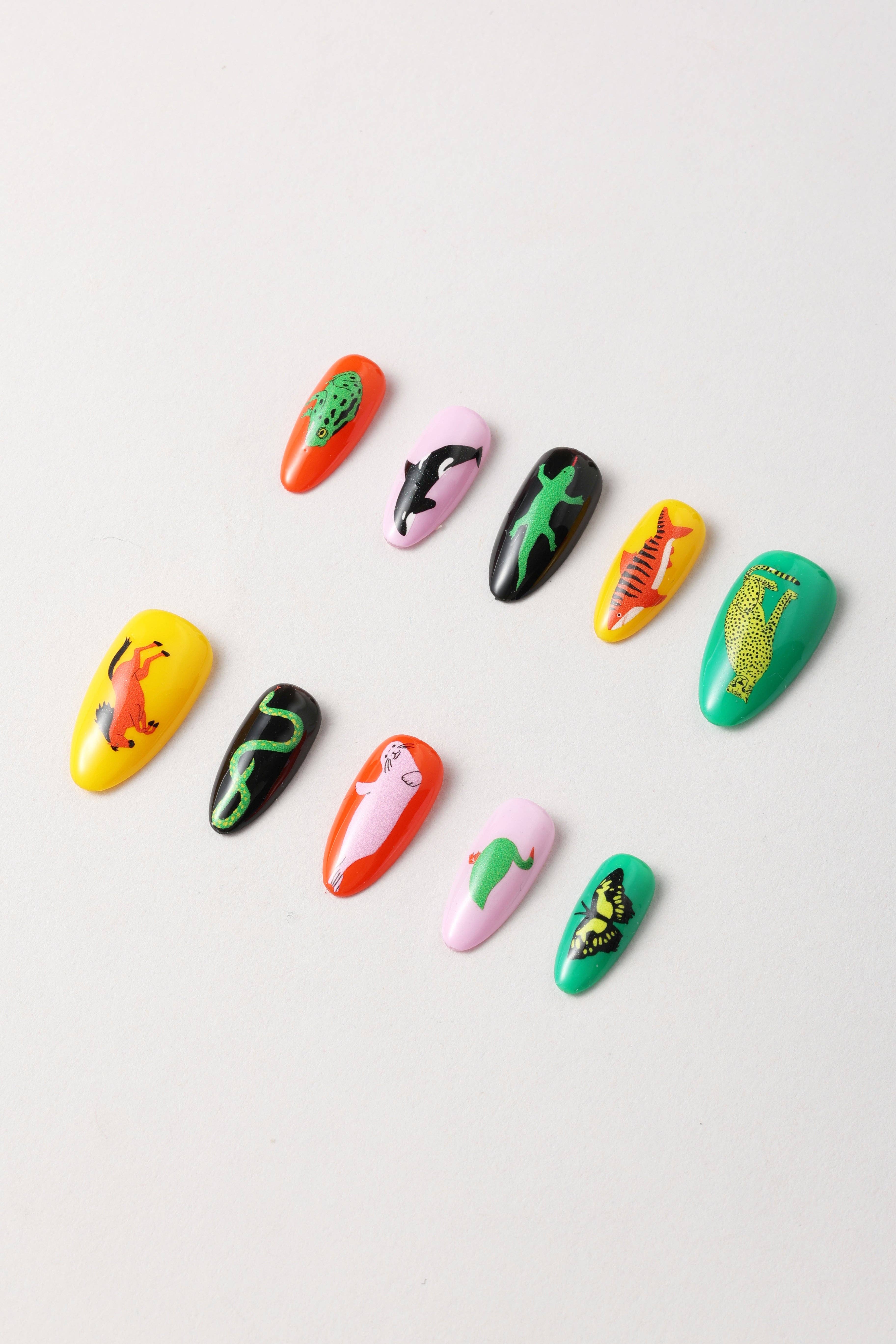 Never Have I Ever - Wholesale Press-On/Fake Nails - Animal Planet by Lorien Stern - Press-on Nails3