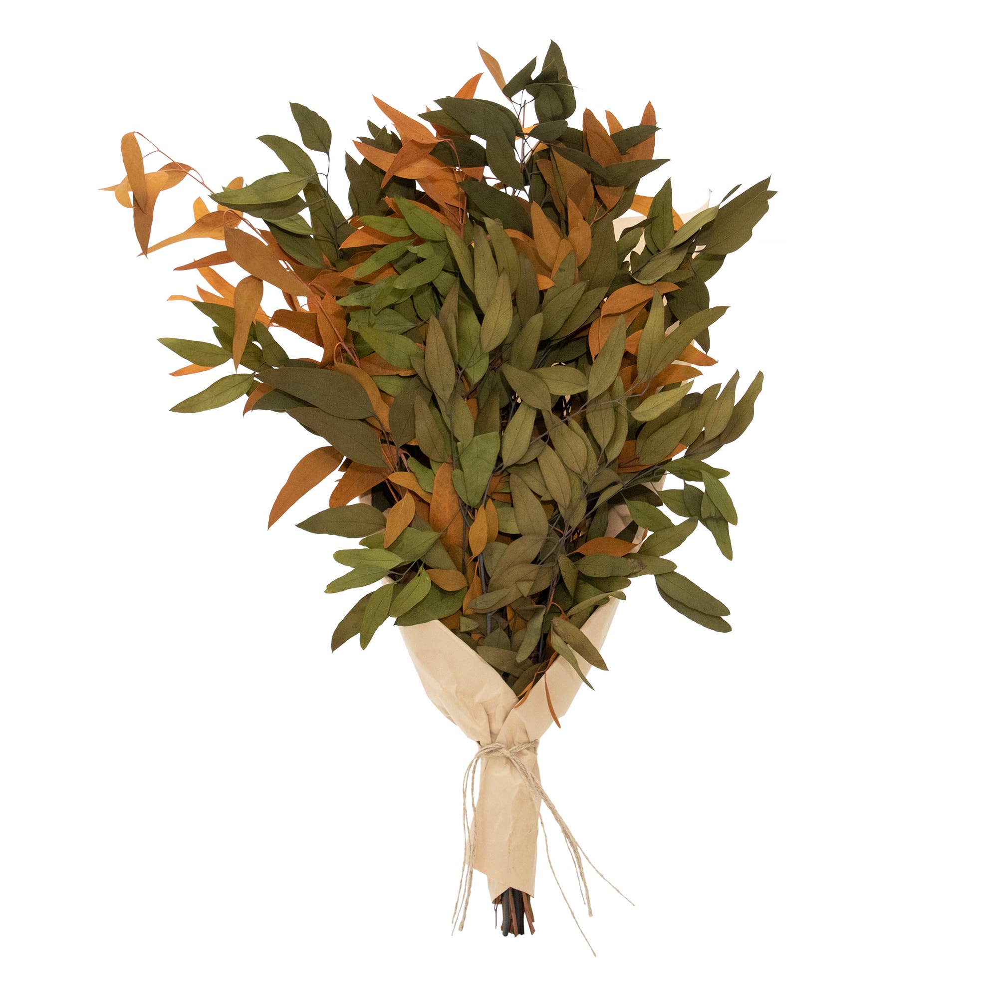 Andaluca - Wholesale Dried/Pressed Flowers - Farmhouse Willow Bundles7