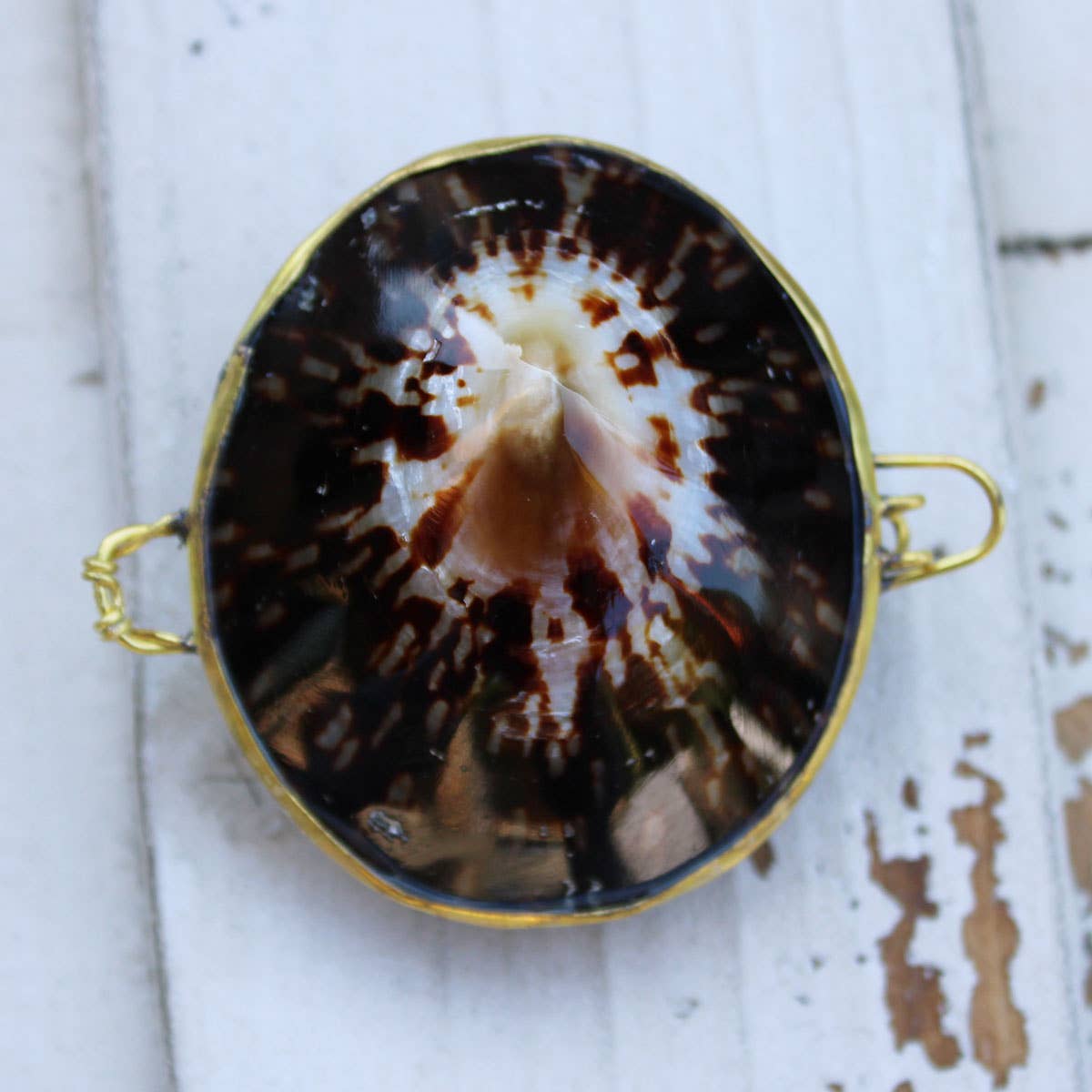 California Seashell Company - Wholesale Jewelry Dish - Limpet Seashell Coin Purse - Shell Box1