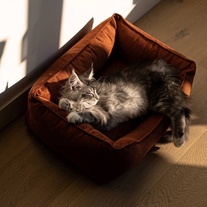Bastille - Cesta per gatti di lusso, velluto a coste ruggine per la vendita all'ingrosso da parte di BAGANE