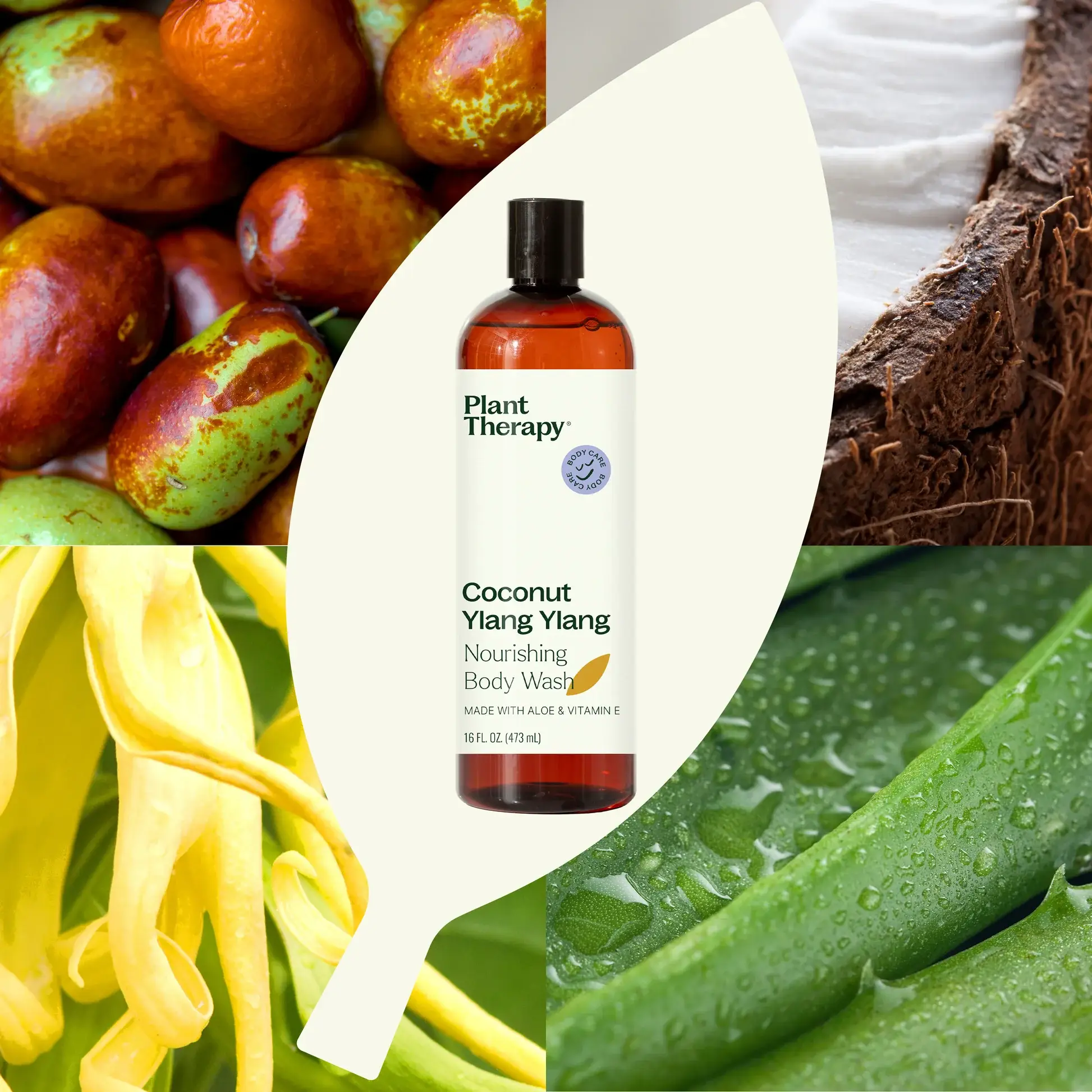 Plant Therapy - Wholesale Body Wash/Shower Gel - Coconut Ylang Ylang Body Wash 16 oz  4