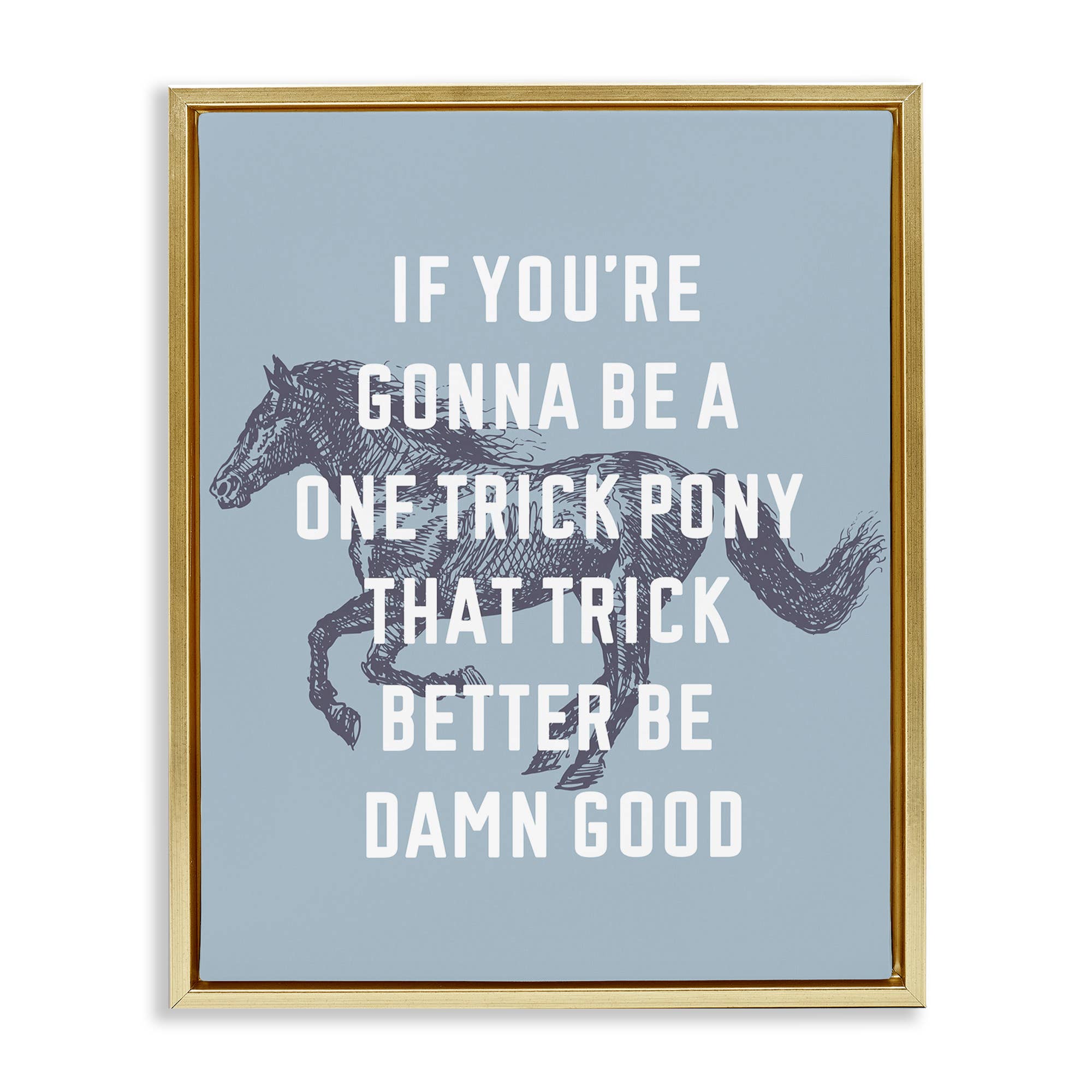 Stupell Industries - Wholesale Wall Decor - Kids & Baby - One Trick Pony Phrase Floater Framed Art12