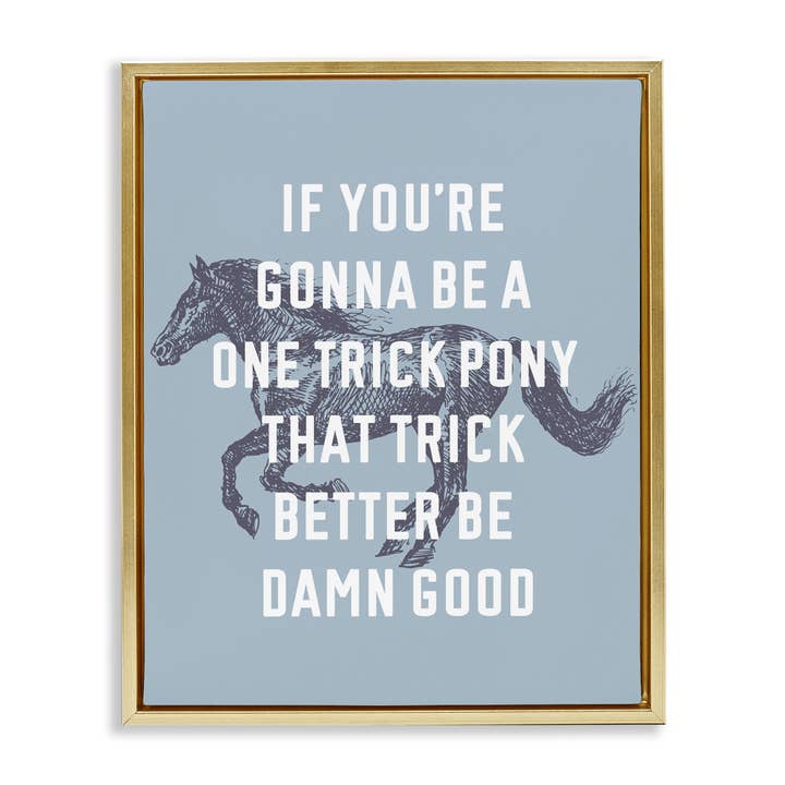 Stupell Industries – wholesale Wall decor – Kids & Baby – One Trick Pony Phrase Floater Framed Art12