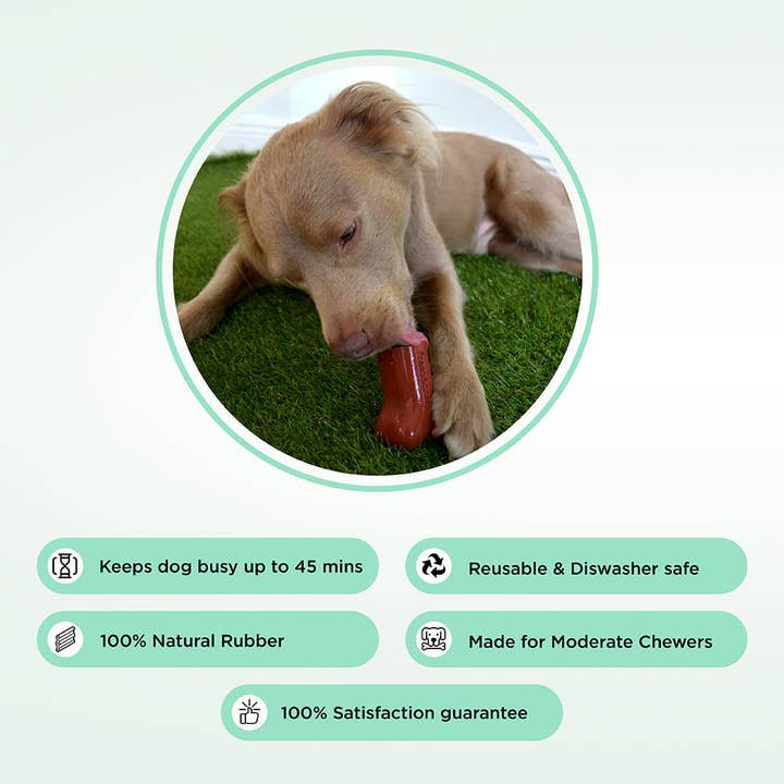 Freezbone - Wholesale Pet Chew Toy - Dog - Freezbone - The Dog Feeders ®1