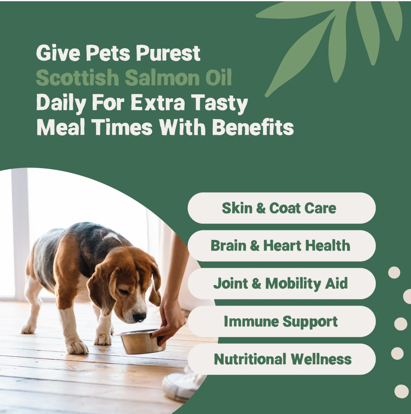 Pets Purest – wholesale Pet supplement – Cat/dog – Pets Purest Scottish Salmon Oil For Dogs, Cats, Horse5