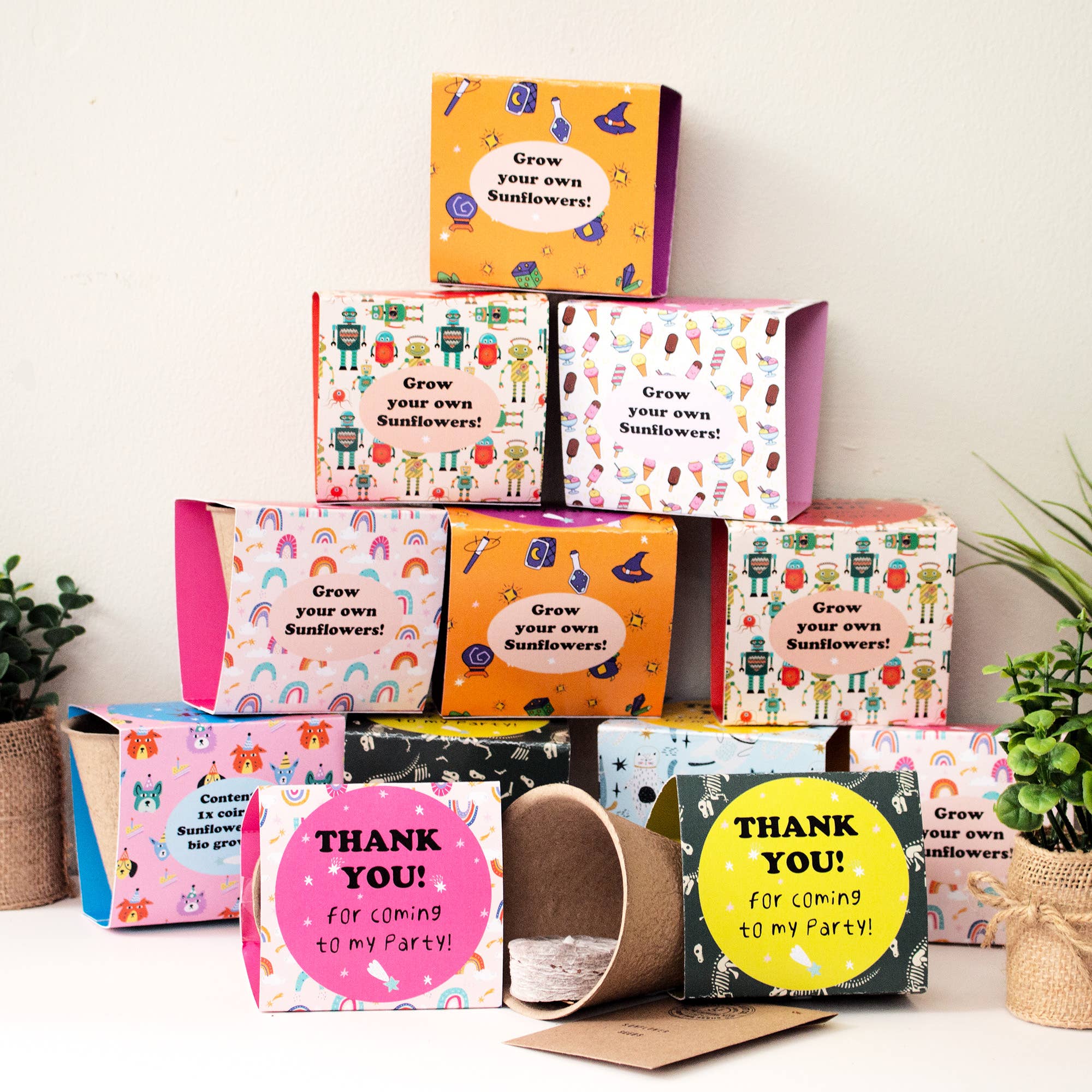 The Plant Gift Co. – wholesale Plant seeds – packs of 6. Thank you for coming to my party! Sunflowers.3