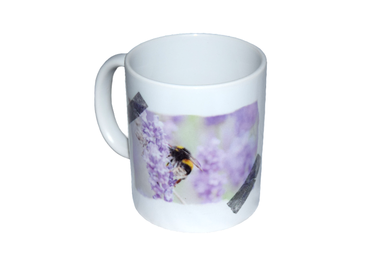 Red Berry Photos - Wholesale Coffee Mug - Fox mug1