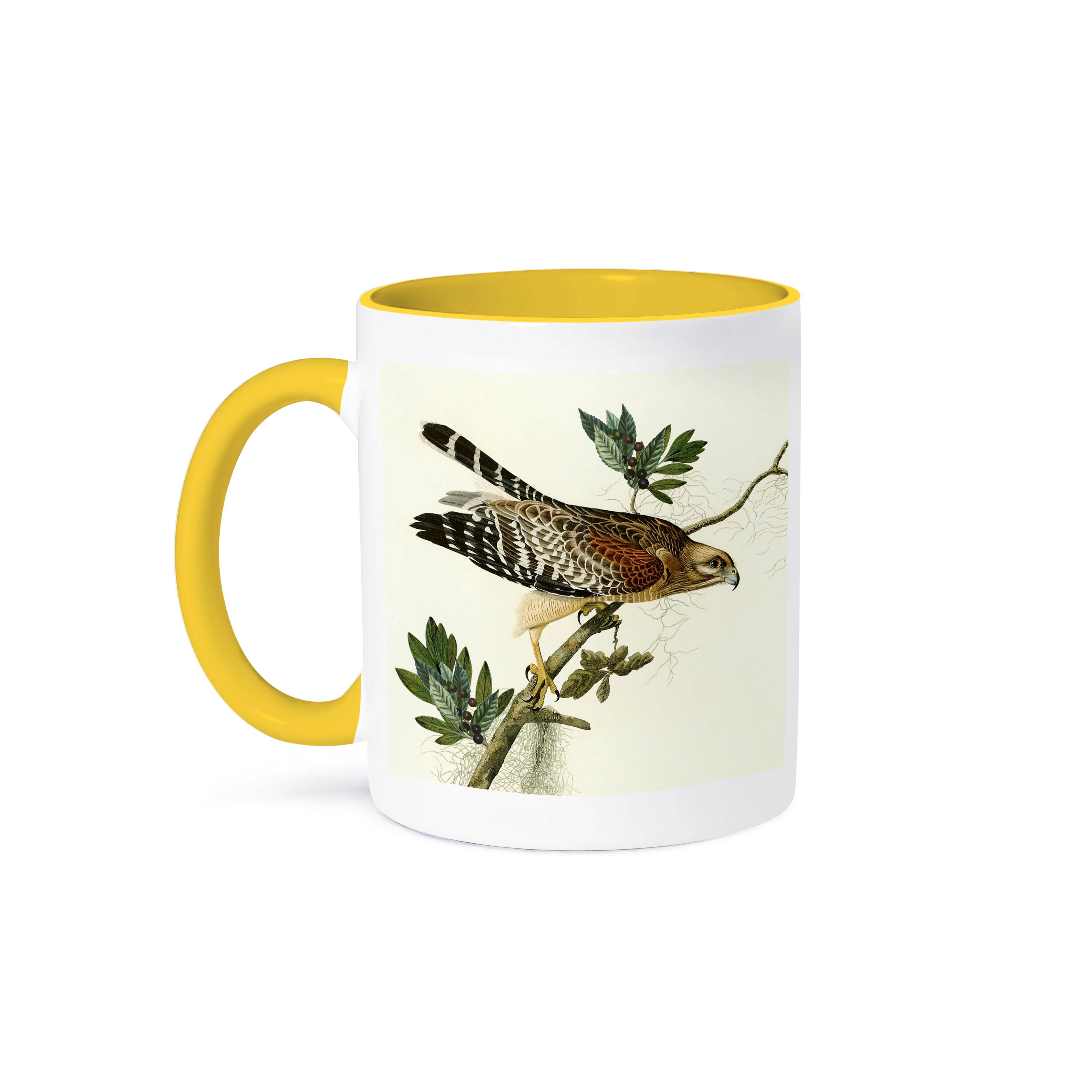 3dRose - Wholesale Coffee Mug - 3dRose, Red-shoulder Hawk Birds of Prey Audubon America Vintage Art Print, Mug0