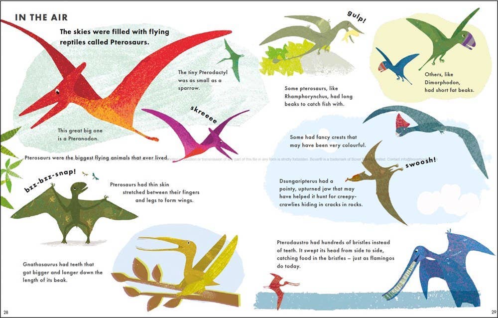 Hachette Book Group - Wholesale Preschool Book (3-5) - Big Book of Dinosaurs (Little Explorers Big Facts Books)3