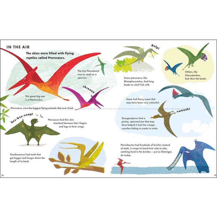 Hachette Book Group - Wholesale Preschool Book (3-5) - Big Book of Dinosaurs (Little Explorers Big Facts Books)3