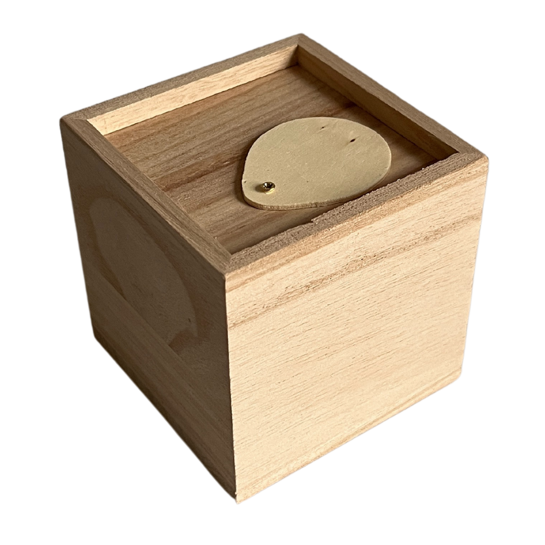 Kinderkoffertjes.nl - Wholesale Money/Piggy Bank - Kids & Baby - Wooden PIGGY BANK cube2