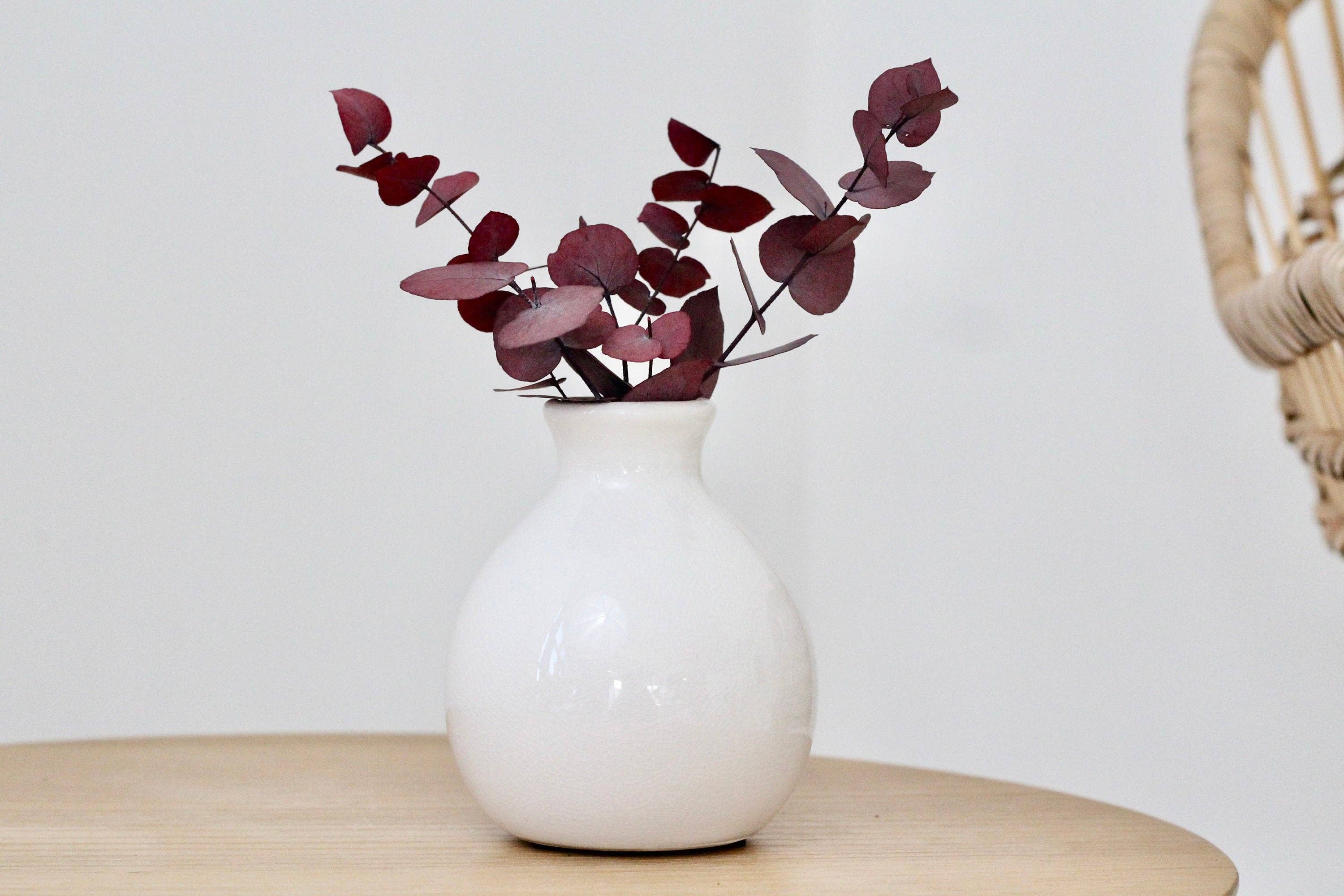 Sprout & About - Wholesale Vase - Farmhouse White Bud Vases for Dried and Fresh Flowers7