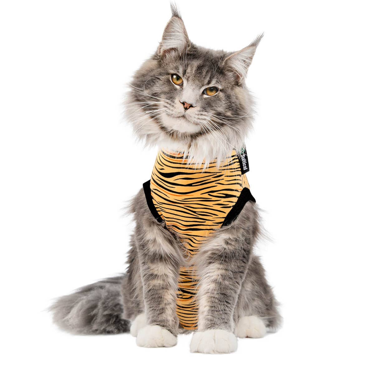 Suitical – wholesale Pet bodysuit – Cat/dog – Recovery Suit - Cat1