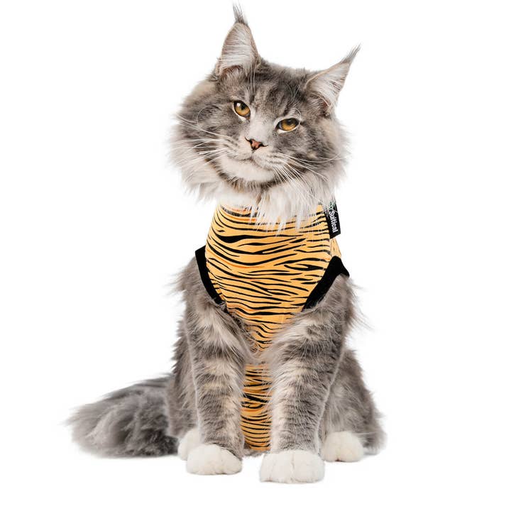 Suitical – wholesale Pet bodysuit – Cat/dog – Recovery Suit - Cat1