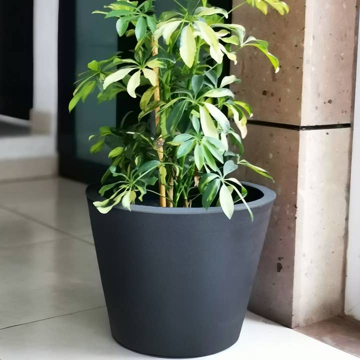 Ecobo – Vaso de plantas por atacado – Plantador de Vasos Cozumel5