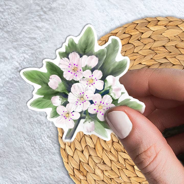 Katekreates - Wholesale Sticker - Watercolor Hawthorn Sticker, May Birth Flower, May Day Tree4