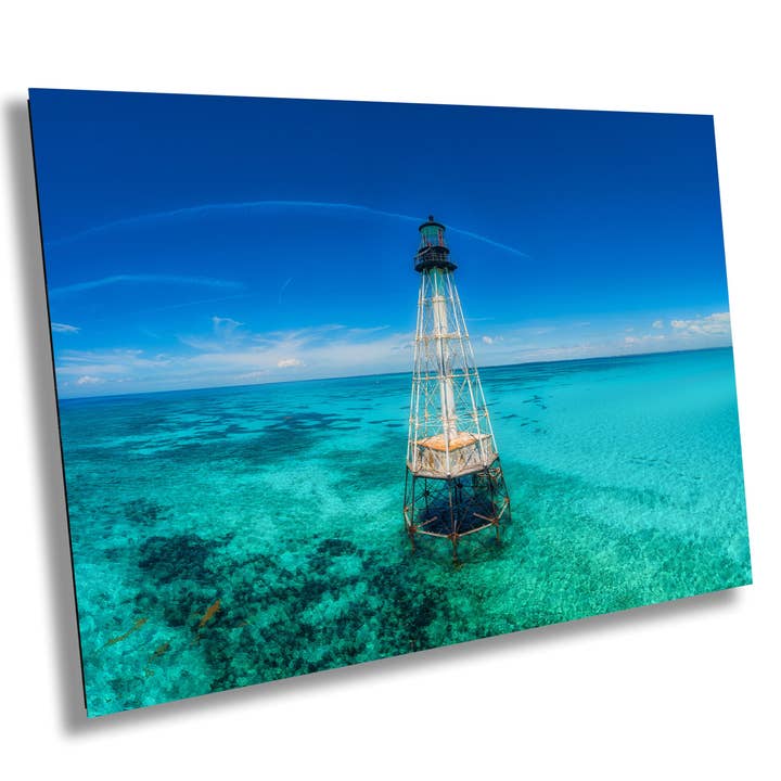 Aluminum Metal Print - Vibrant Detail - 24x36 for wholesale by 998 Millibar Photography