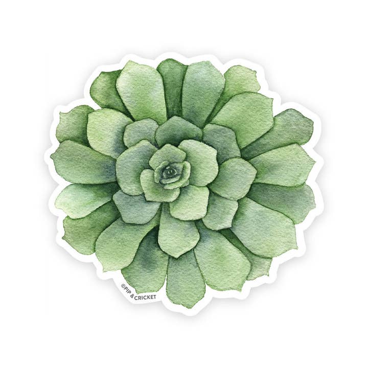 Succulent Sticker for wholesale by Pip & Cricket
