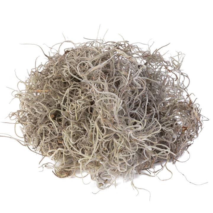 Spanish Moss 3lb Bag FA1003 for wholesale by Replica Plants and Decor