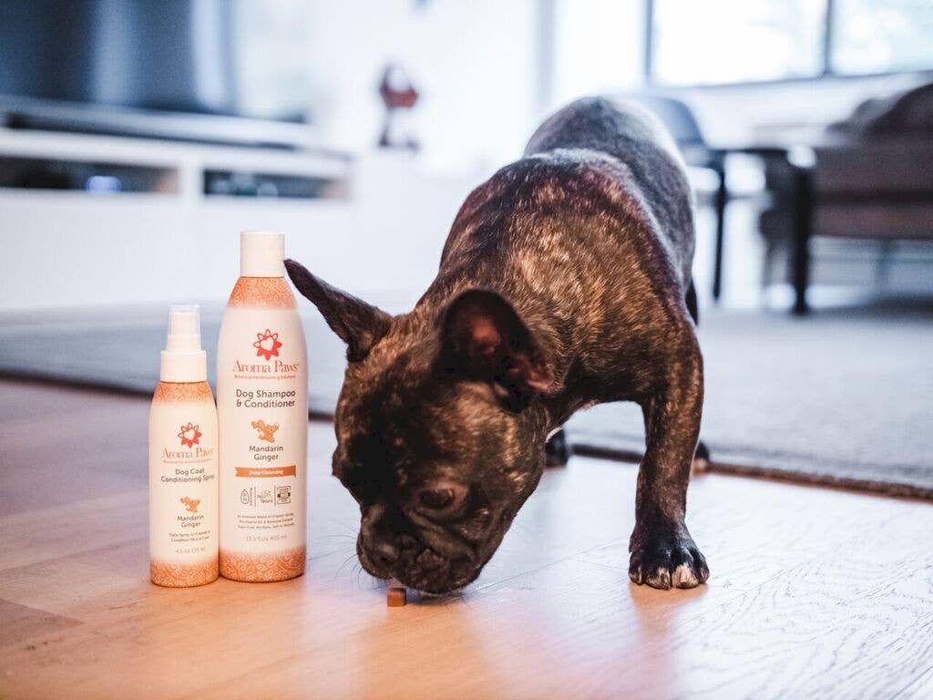 Aroma Paws – Großhandel Haustierspray – Hund – 4,5 Unzen Hundemantel Spray Mandarin Ingwer3