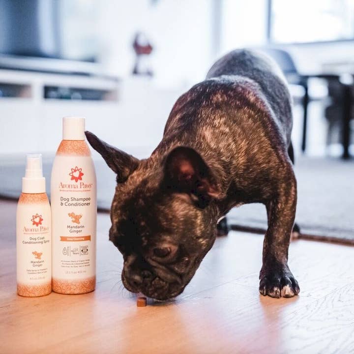 Aroma Paws – Großhandel Haustierspray – Hund – 4,5 Unzen Hundemantel Spray Mandarin Ingwer3