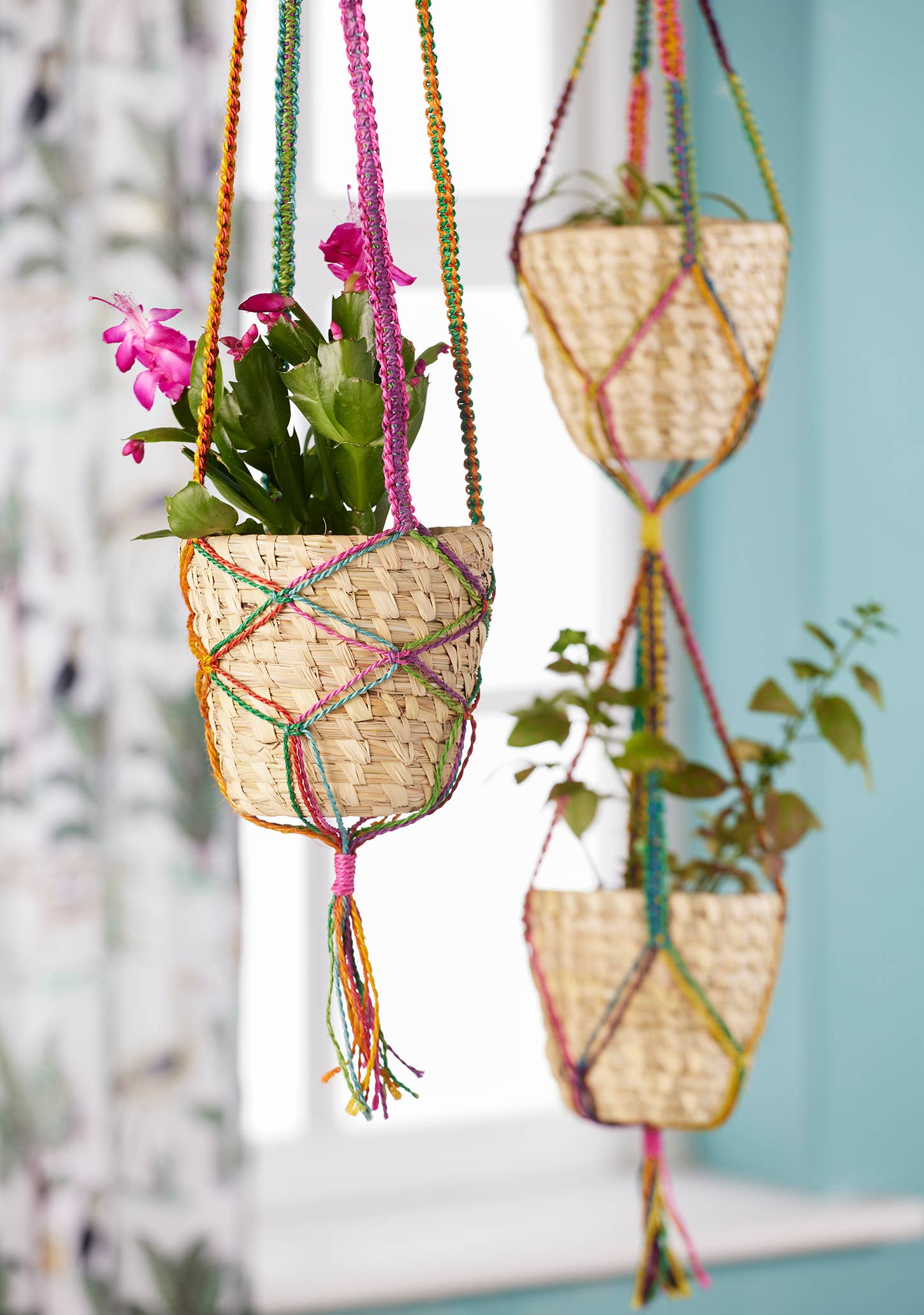 Namaste - Wholesale Hanging planter - Rainbow Jute Plant Hanger & Basket0