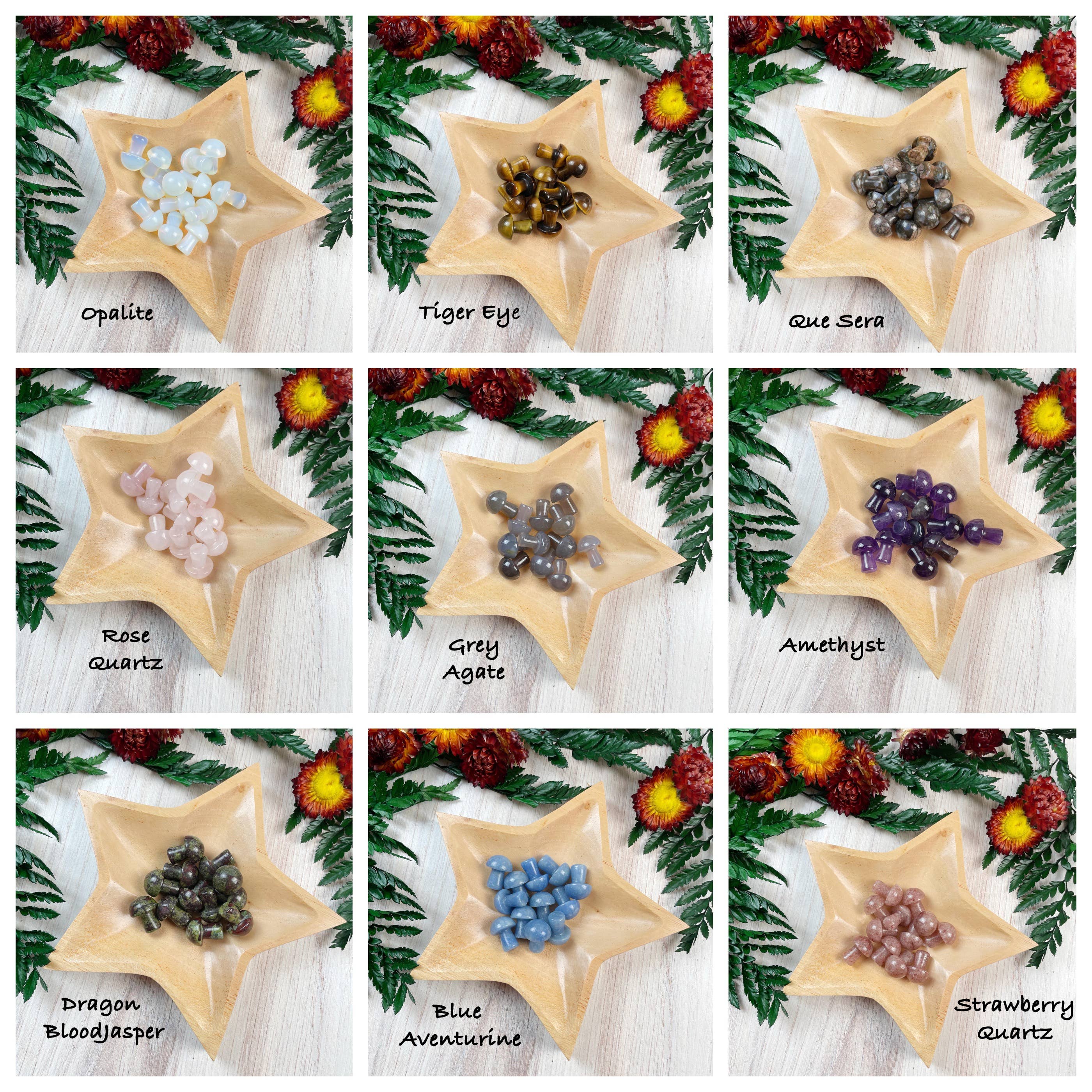 Ewelina Pas Jewelry - Wholesale Spiritual Stone/Crystal - MINI Gemstone Mushroom Pocket Stone4