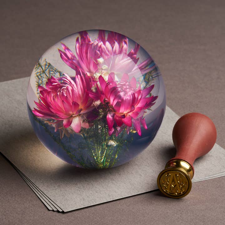 Hafod Grange Ltd – Großhandel Verzierung – Helichrysum Pink Briefbeschwerer