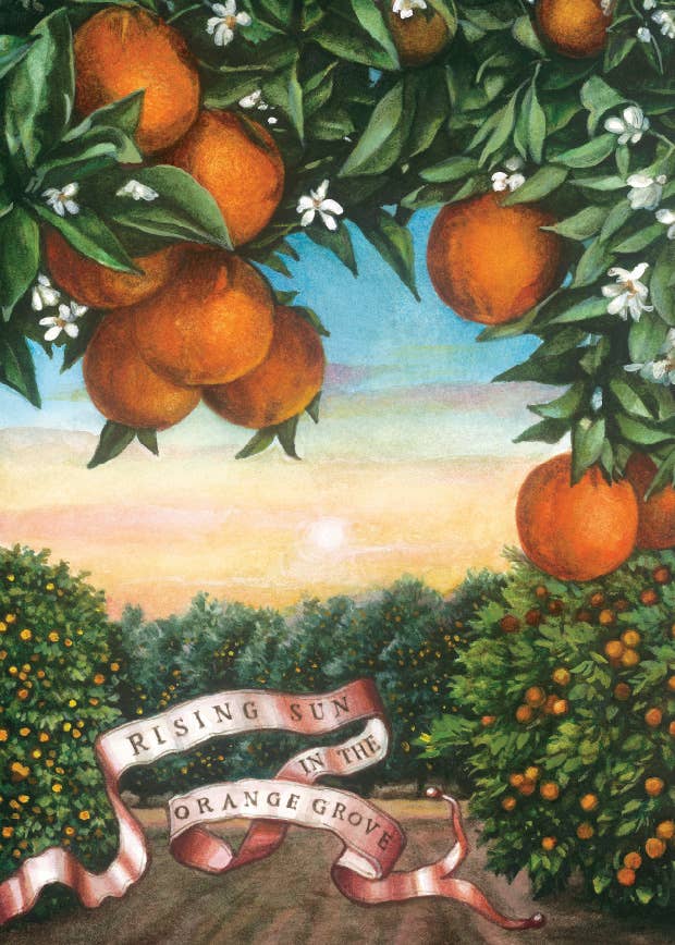 Bomo Art Budapest - Wholesale Everyday Greeting Card - Greeting Card + Envelope100