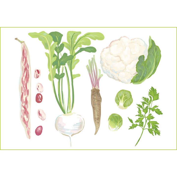 Imán RFM-417 para pelar frijoles para venta al por mayor de Rigel Paper