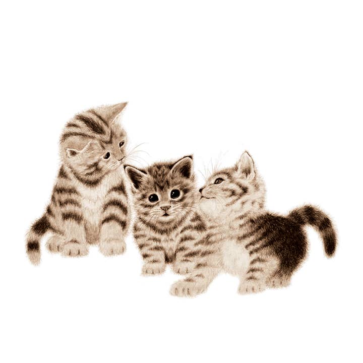 Miss Prince Publications – Baby & Toddler Book (0-2) por atacado – Um Livro de Bebés da Quinta5