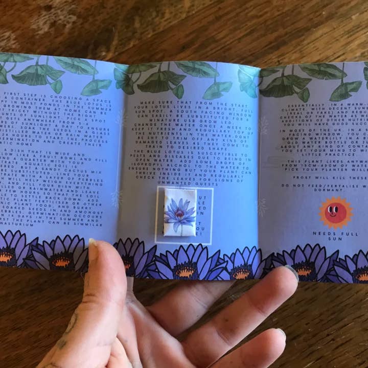 lotusleafaltars - Vente Graines de plantes - Pack de graines de nénuphar Blue Lotus Easy Grow, plante aquatique rare5