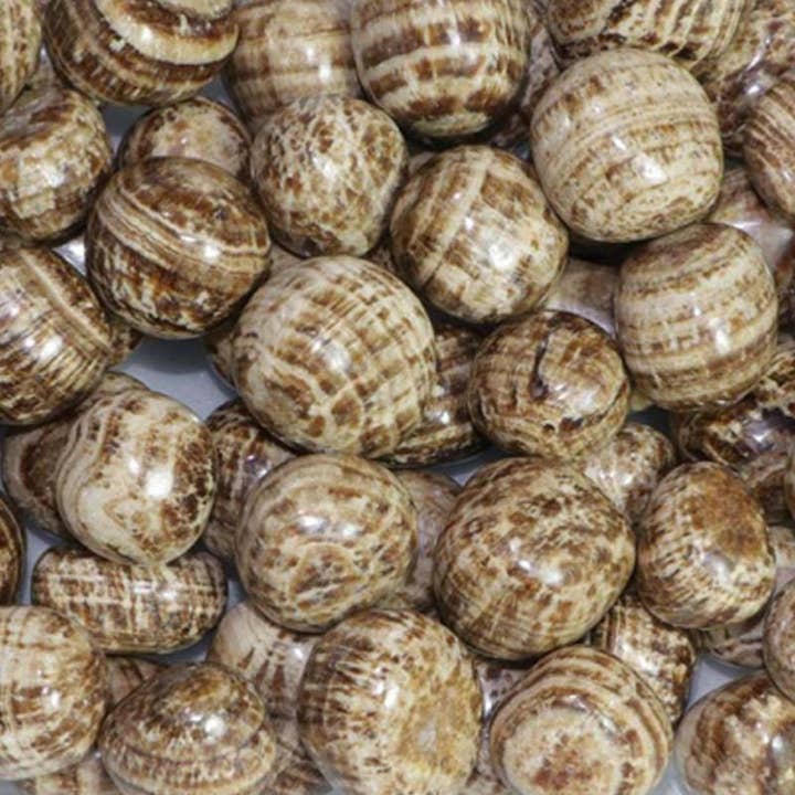 La Boîte à Cailloux - Wholesale Spiritual Stone/Crystal - Brown Aragonite Peru A+ (tumbled stone)