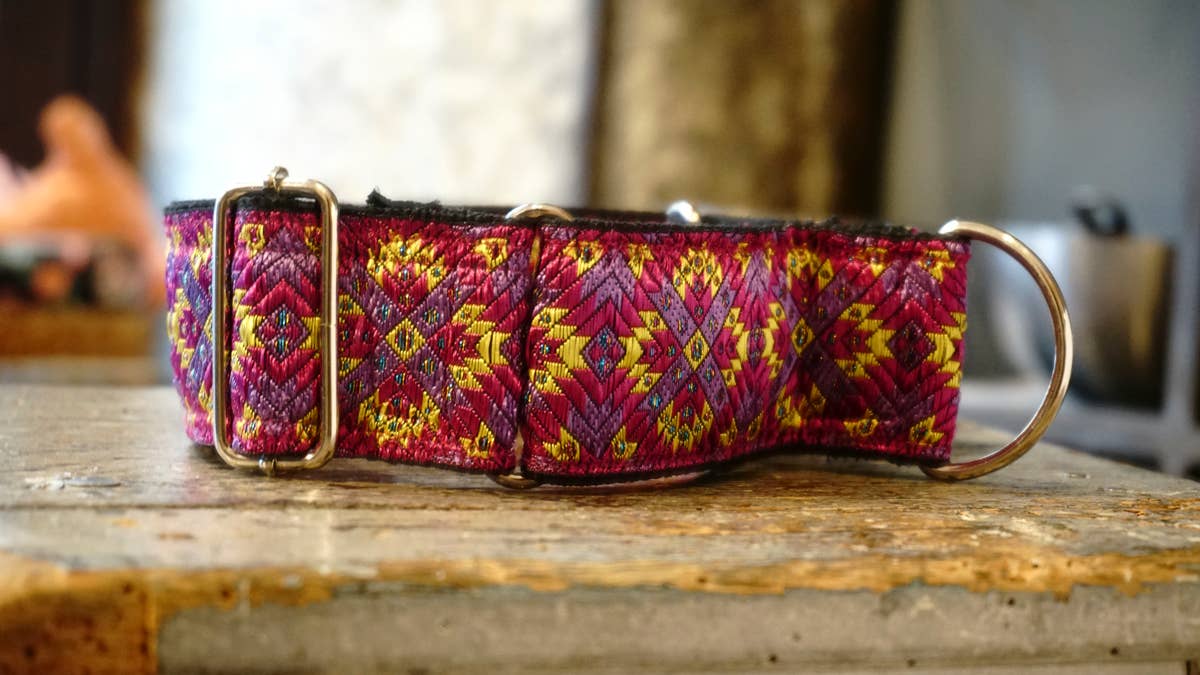 hundsfutter - Wholesale Pet Collar - Dog - Extra strong Martingale collar for dogs1