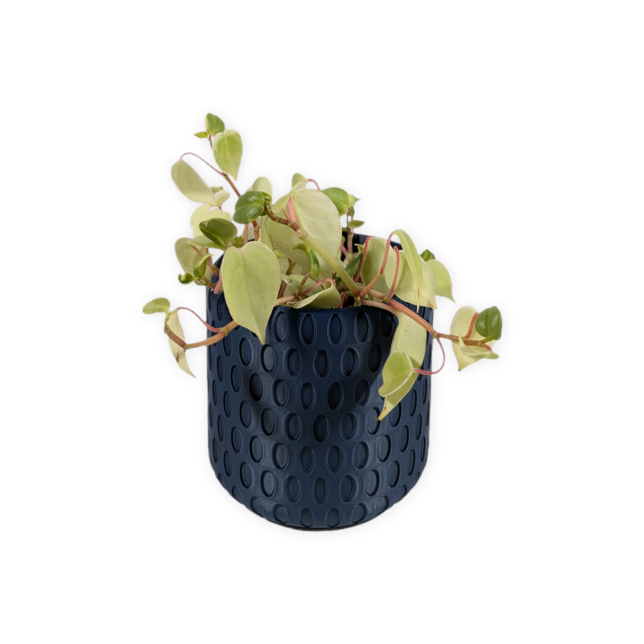 Leafprints.3d - Wholesale Plant Pot - The Bud - 4 Inch Planter with Drip Tray21