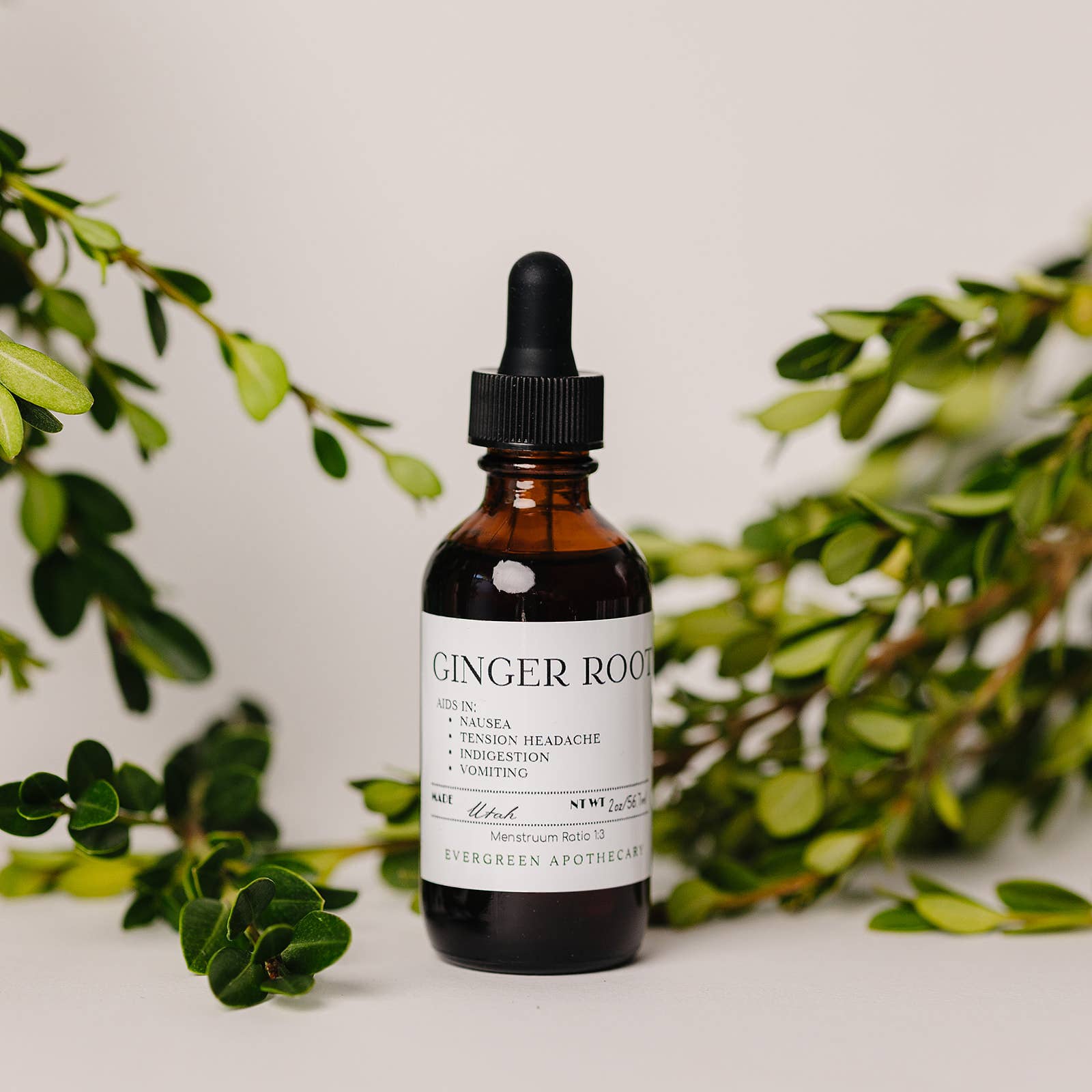 Evergreen Apothecary - Wholesale Tincture - Ginger Root Tincture, for Nausea, 2oz 1