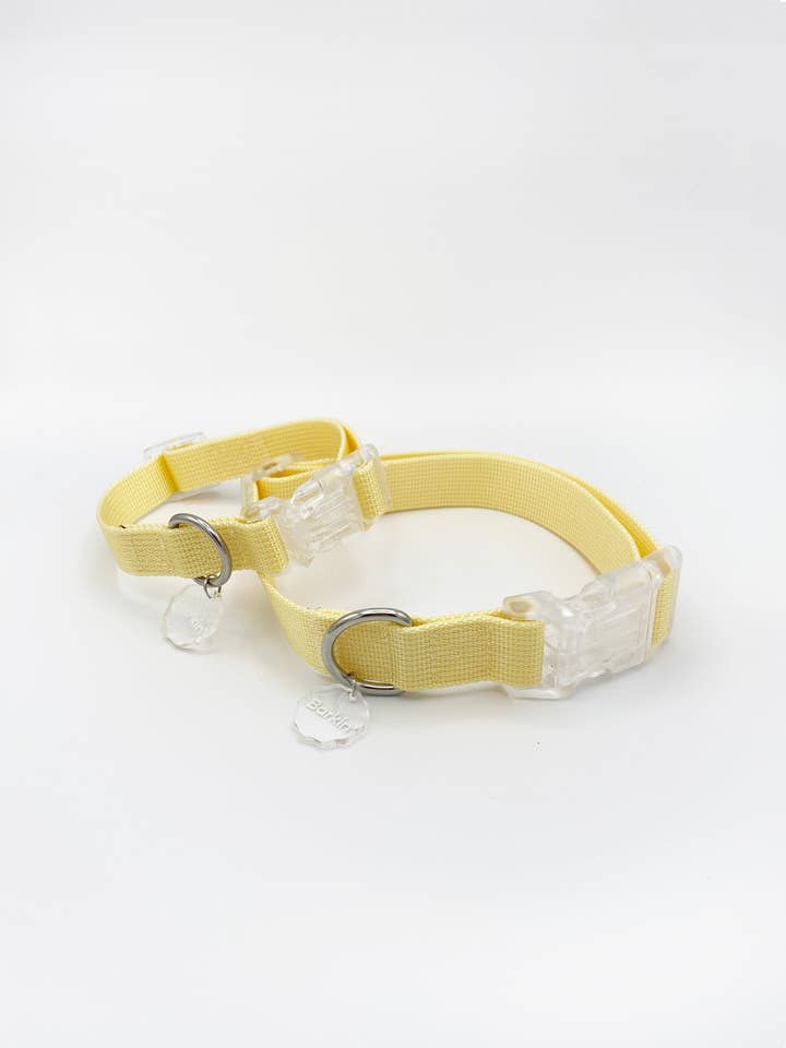 Butter Buckle Collar - Walk Essentials for wholesale by Barkin'