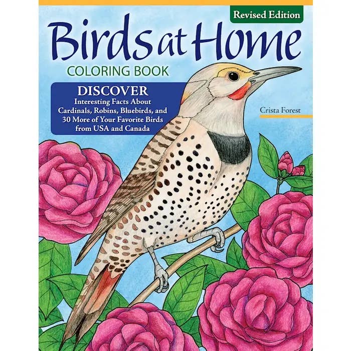 Wellspring - Wholesale Coloring Book - Adult - Coloring Book - Birds at Home