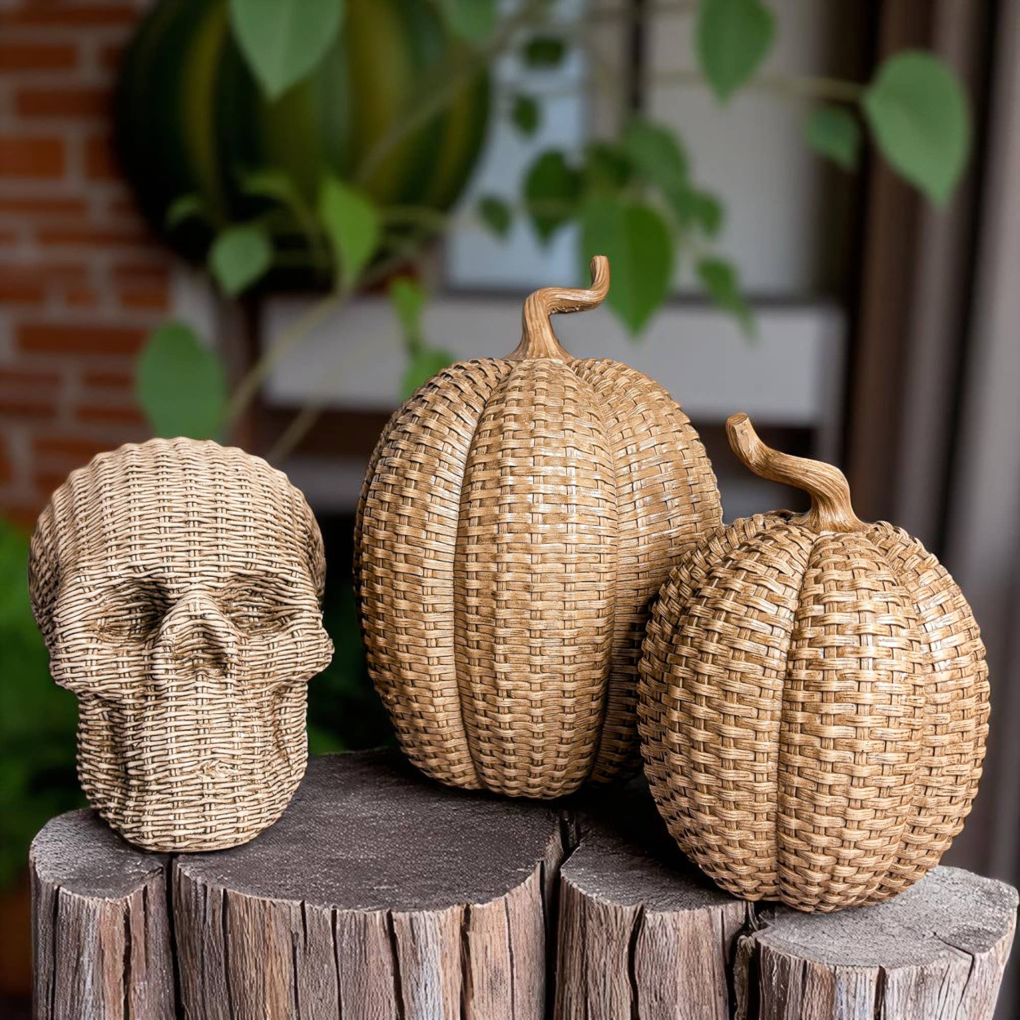 Gia Roma - Wholesale Decorative Figurine - Resin Skull Statue Rattan Halloween Gothic Home Decor Unique48