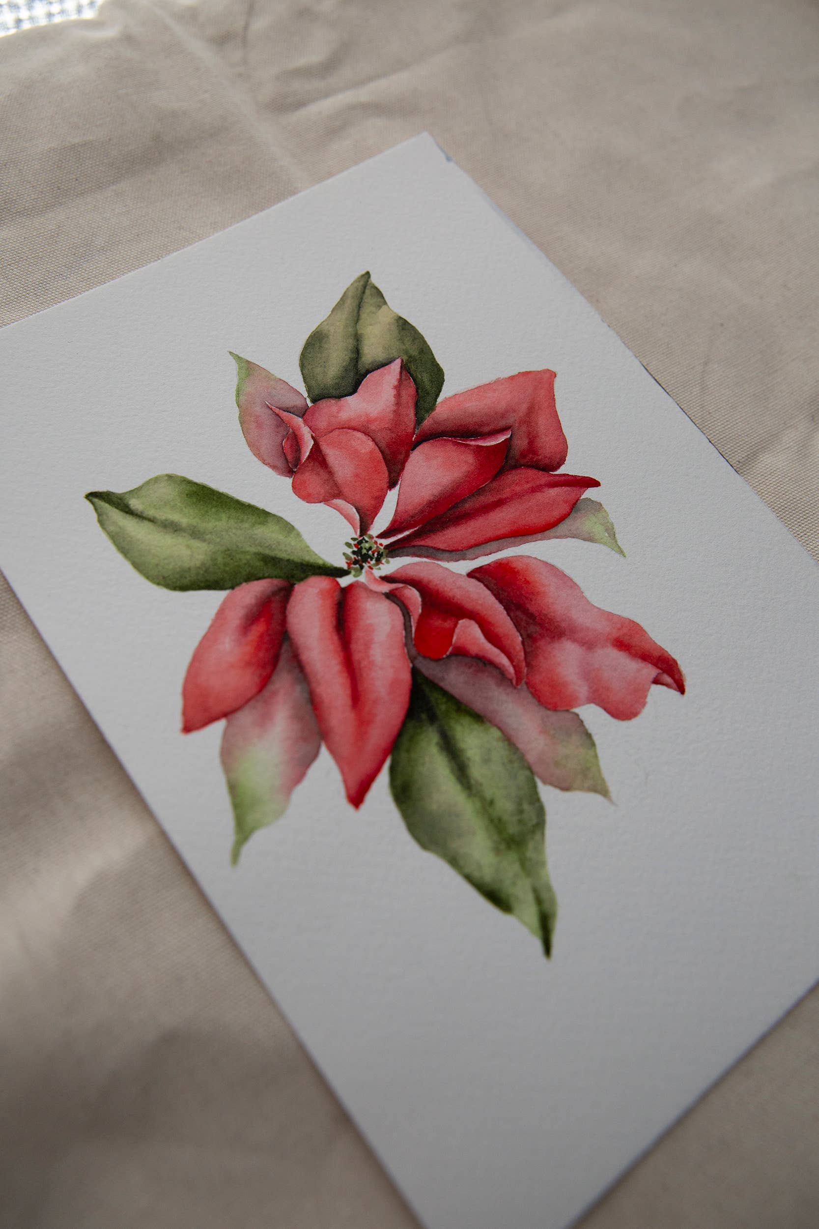 Sarah Jane Studio Art - Wholesale Art Print - Poinsettia Watercolor Print4