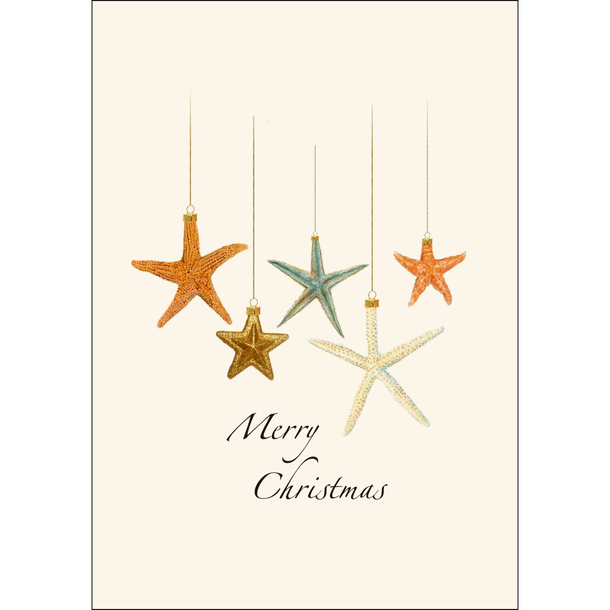 Earth Sky + Water - Wholesale Stationery/Notecard Set - Beachcomber Christmas Notecard Set Assortment2