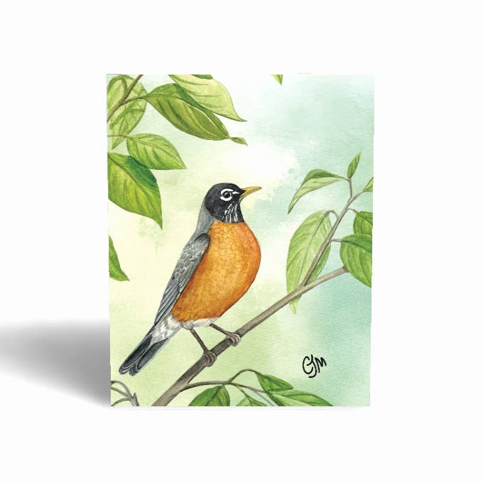 BirdMatch - Wholesale Everyday Greeting Card - Greeting Cards8