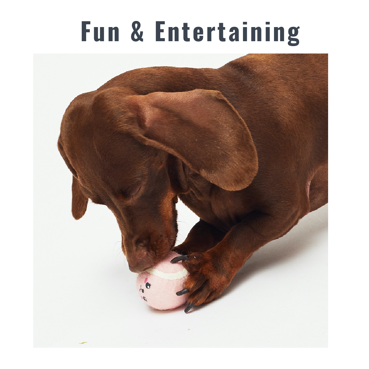 PetLondon – wholesale Pet squeaky toy – Dog – Moji Squeaky Tennis Balls6