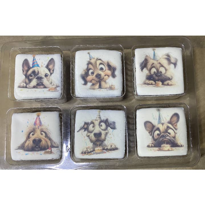 Birthday Bark Tackle Box - Dog Treat for wholesale by Bucho's Barkery