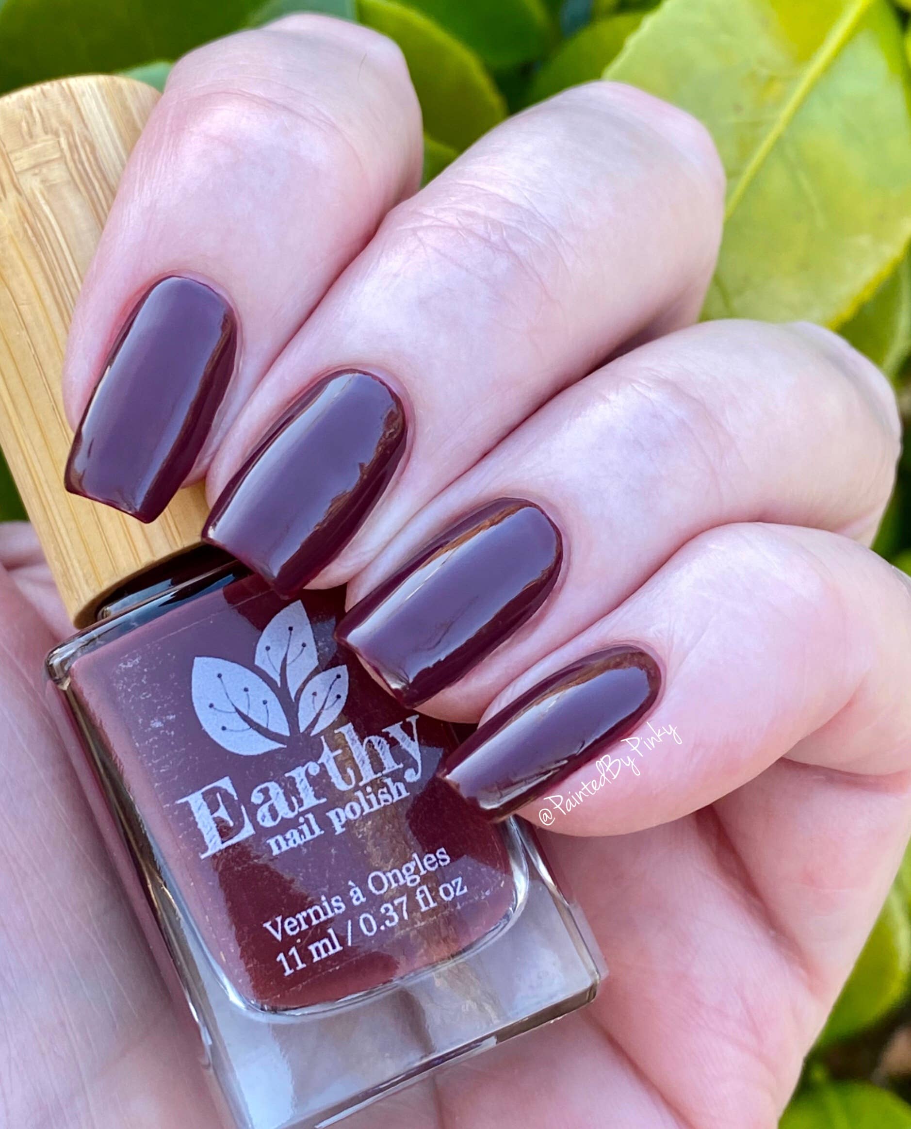 Earthy Nail Polish - Wholesale Nail Polish - Bordeaux1
