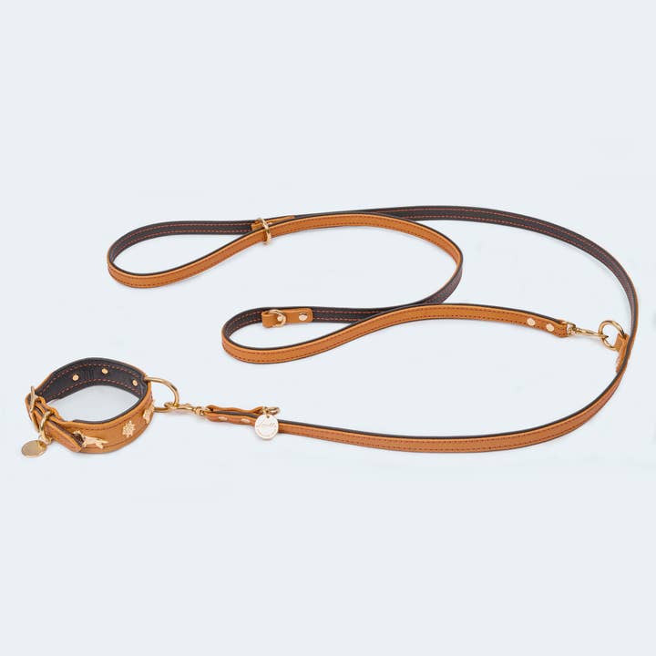​​Leopold's Finest for dogs - Wholesale Pet Collar - Dog - Dog collar leather dachshund cognac/dark brown