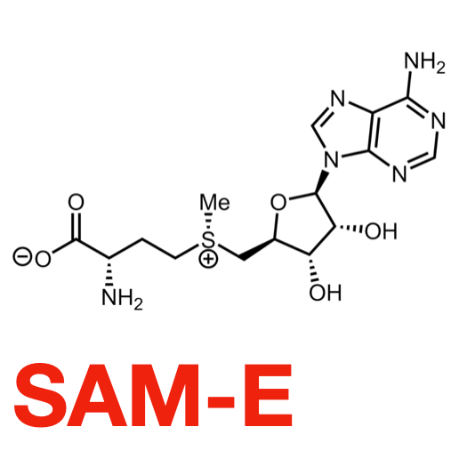 Eat Gold Organics - Wholesale Chocolate Bar - STAY SANE a Potent, Functional & Delicious Chocolate Bar7