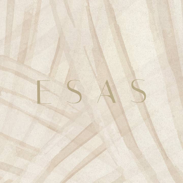 ESAS - Wholesale Perfume/Eau de Toilette - Vanilla Musk Fragrance4