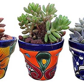 MEXTEQUIL - Wholesale Plant Pot - Talavera Hand-Painted Pottery Planters - Set of 3 (Flowers 2.8")