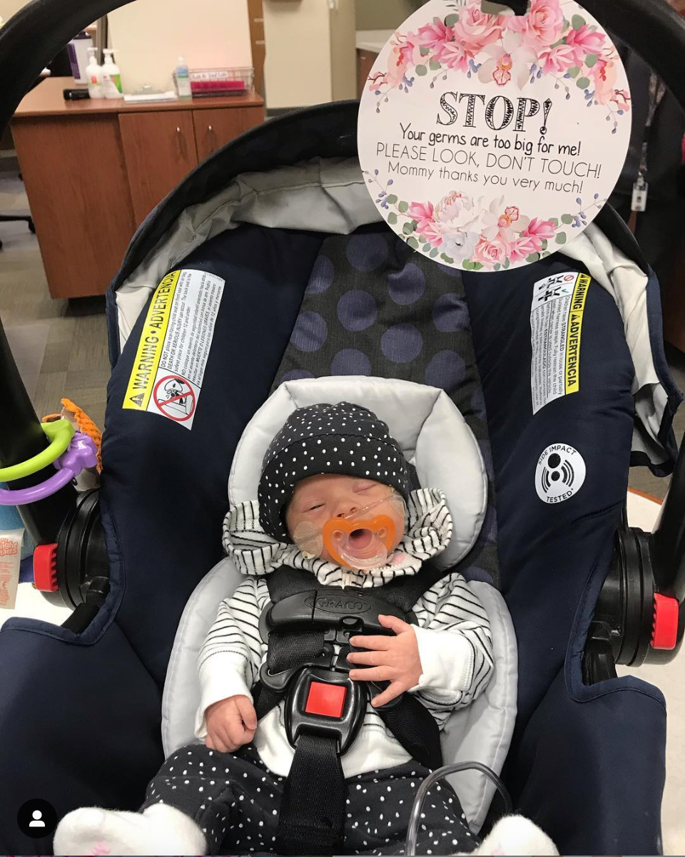 Three Little Tots - Wholesale Stroller Cover/Accessory - Baby - Flower No Touching Baby Car Seat and Stroller Tag15